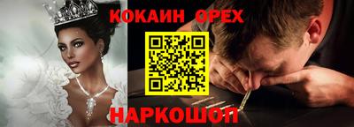 стаф Краснодар