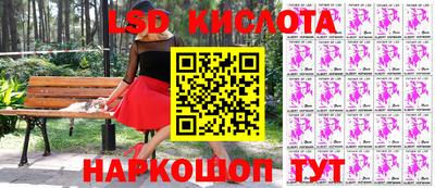 стаф Краснодар